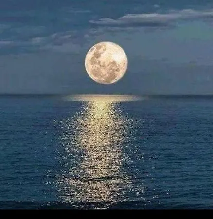 Rising Moon A * Augusta